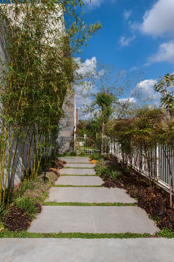 Outdoor path bordered by planting and the building faֳ§ade.
