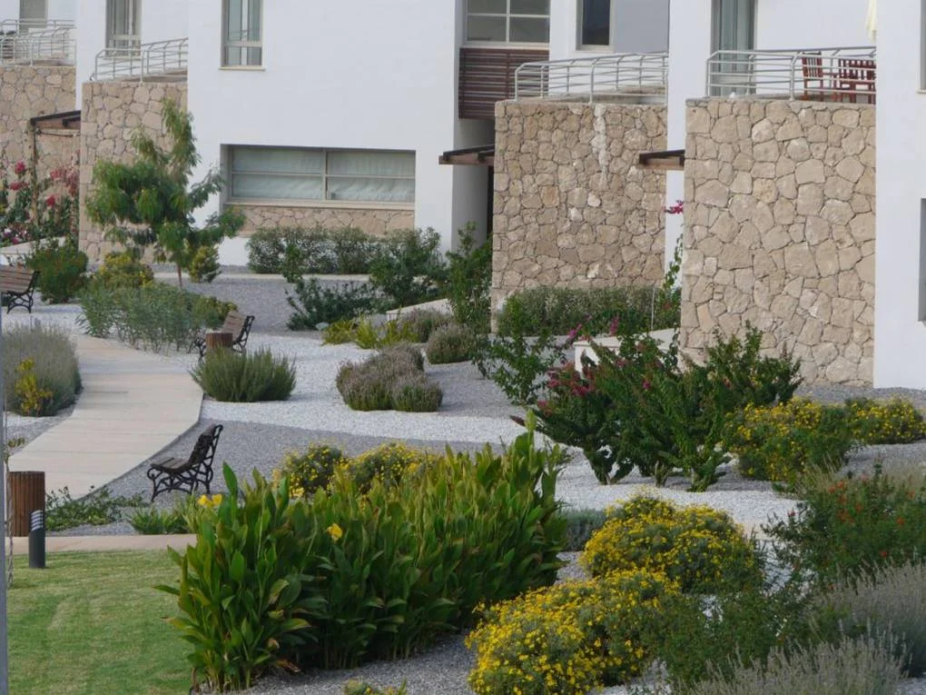 Landscaped garden showing planting and outdoor circulation.