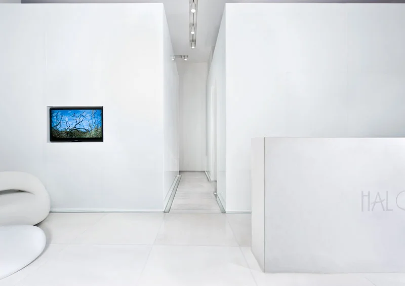 Entrance lobby showing circulation, lighting and interior finishes.