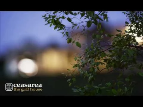 Video from the studio publication archive